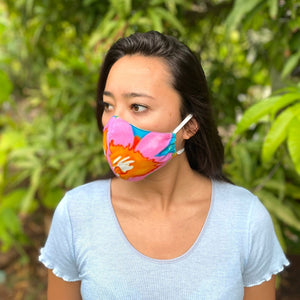 Disposable Face Mask Filters - jamsworld.com